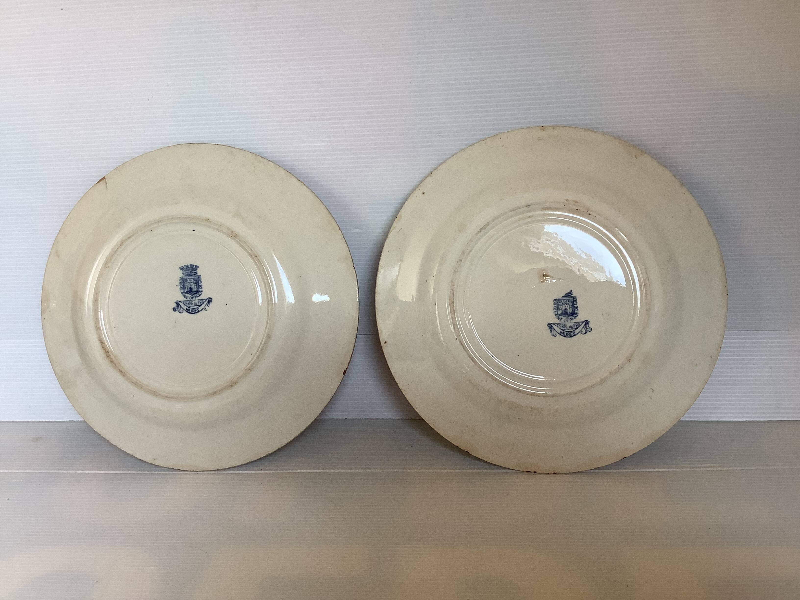 Pair of old mature ironstone plates