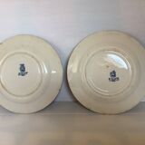 Pair of old mature ironstone plates