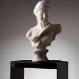 Fragmented Venus sculpture