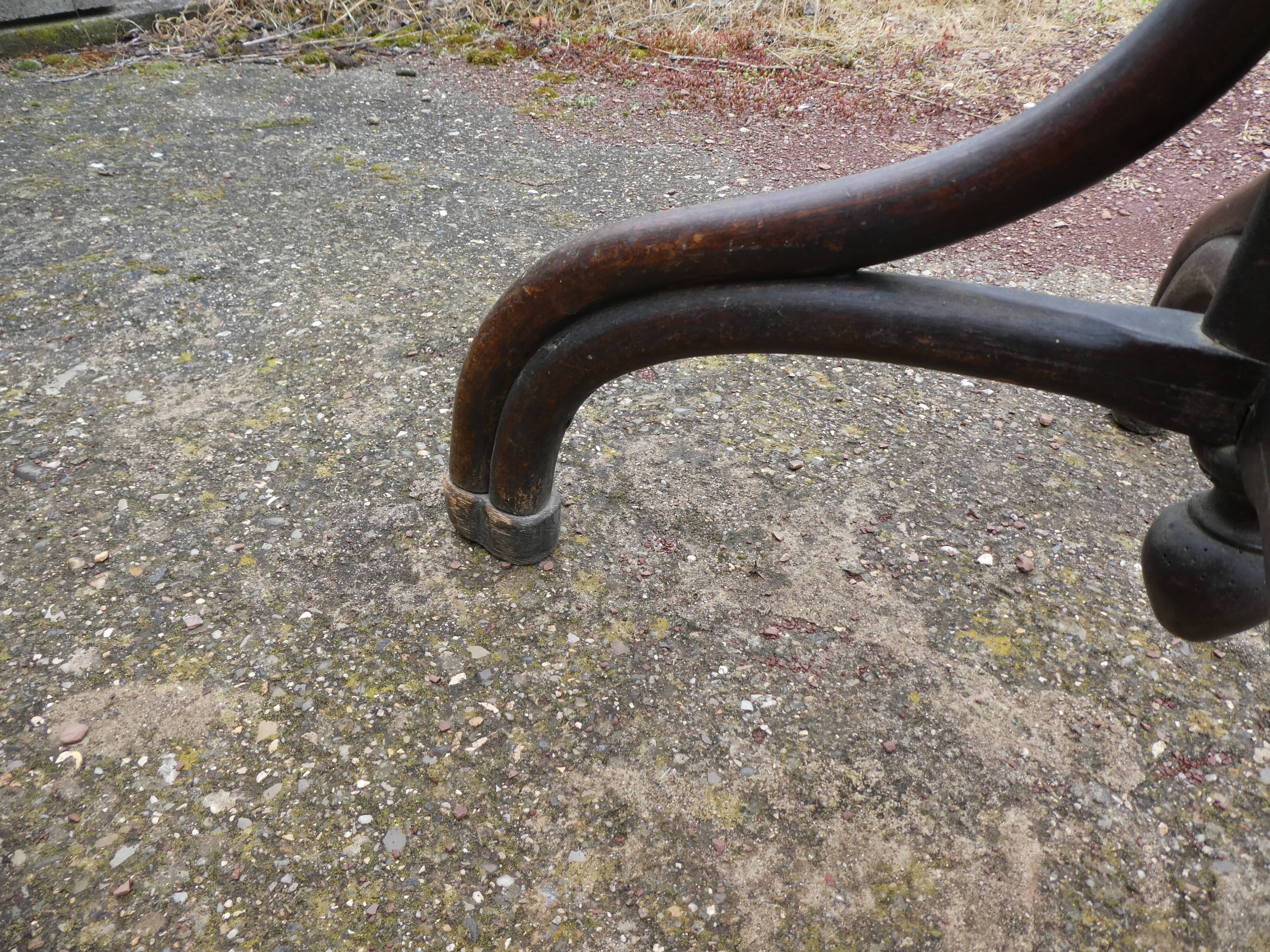 Parrot coat holder in curved wood - Art Nouveau