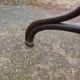 Parrot coat holder in curved wood - Art Nouveau