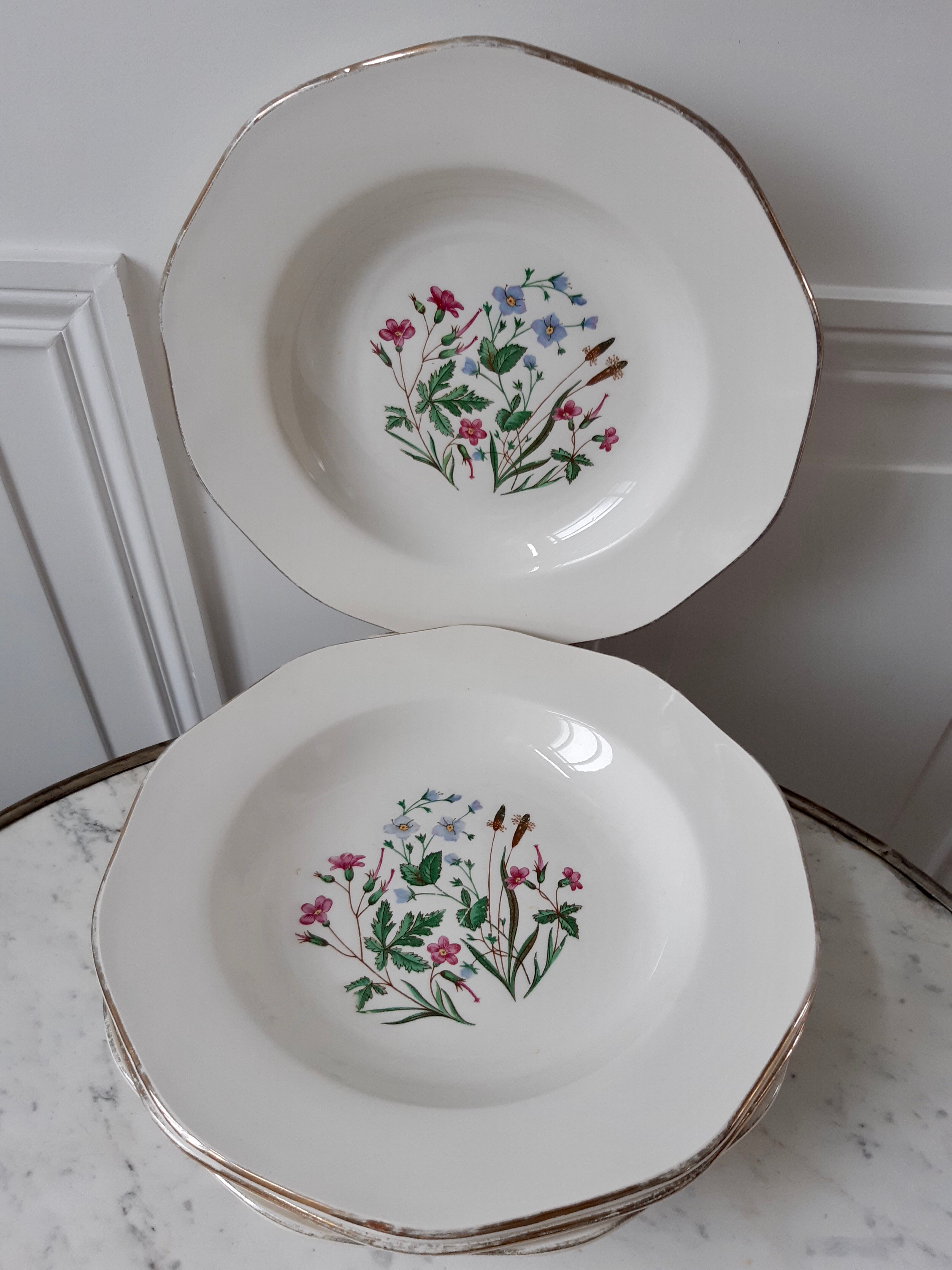 Lot of 6 hollow plates Digoin Sarreguemines model Naïade