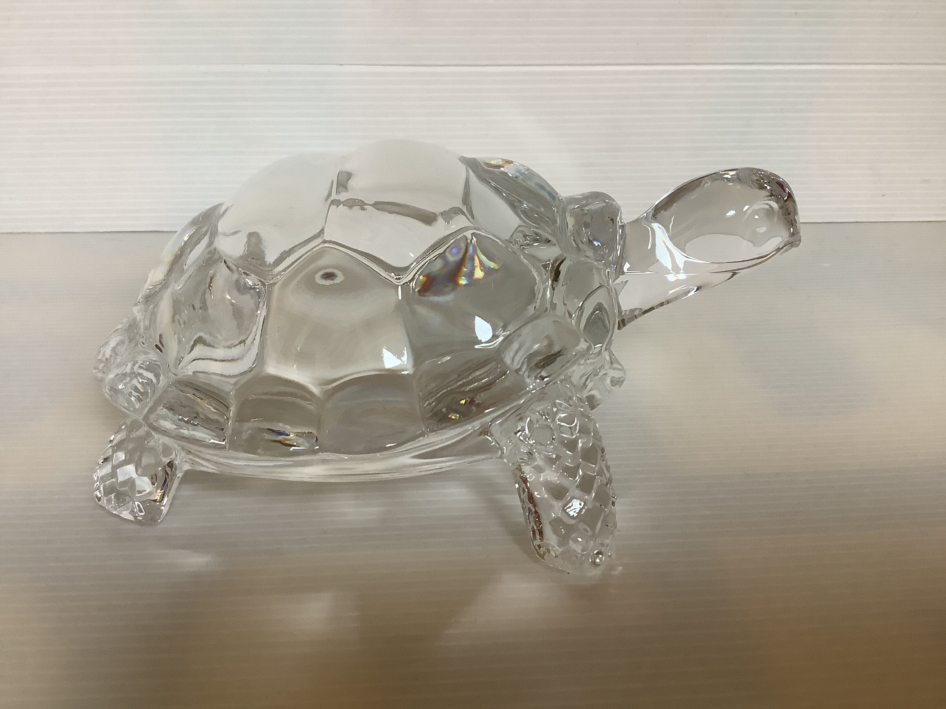 Arques crystal turtle