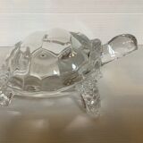 Arques crystal turtle