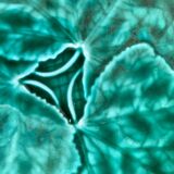 3 slushie dessert plates