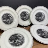 Suite of 5 large English ceramic plates Royal Cauldon Bristol Ironstone "Scenario"