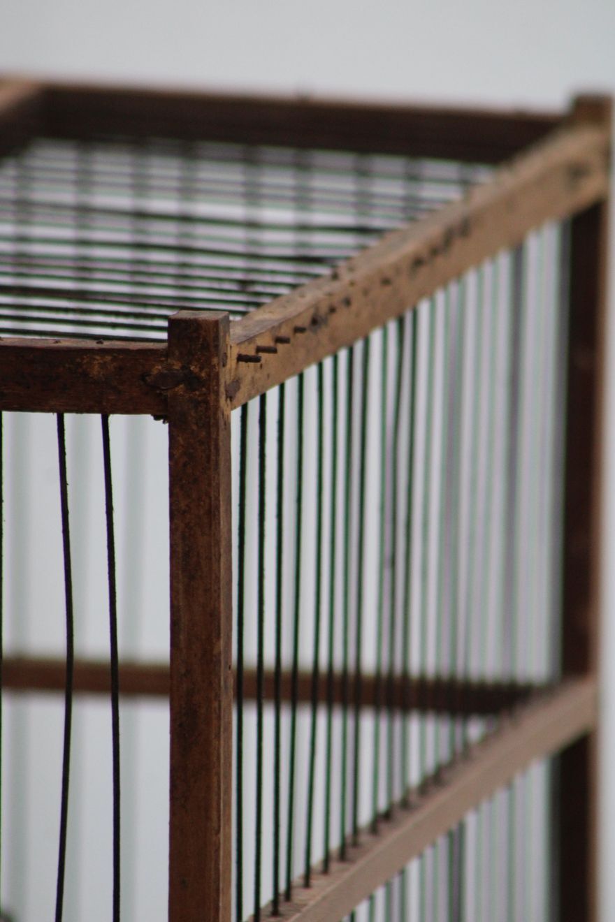 Old wooden bird cage