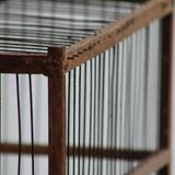 Old wooden bird cage