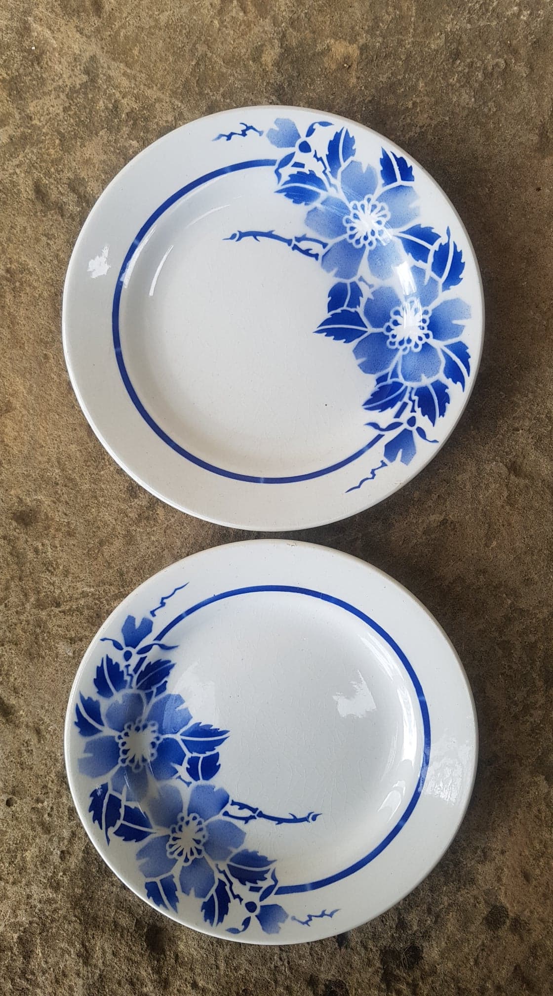 Set of 2 plates Moulin des Loups model Eglantine