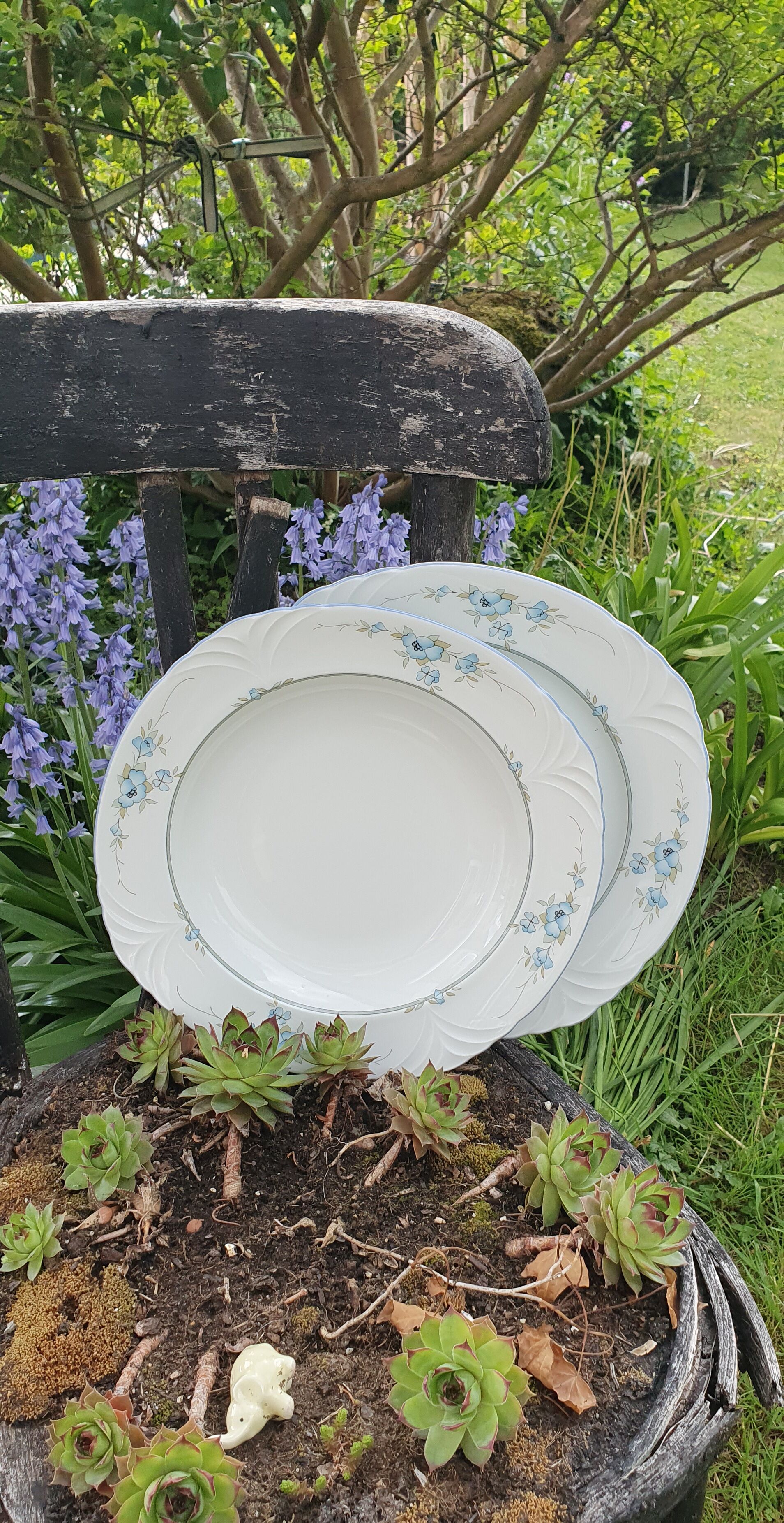 Porcelain dishes bavaria