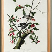 Affiche sur le Pic mineur, d’après une gravure ancienne de 1827.