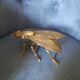 Cendrier mouche