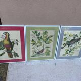 Frames