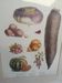 Framed botanical plank, vegetables