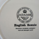 Ceramic bowl Adams english scenic