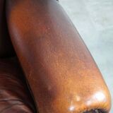 Fauteuil à oreilles classique et majestueux en cuir de mouton avec de jolies couleurs