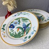 Ara Pier Import Japan Hibiscus and Parrot plates