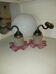 Vintage Wall Sconce Pair – Moulded Pink Glass & Brass | Retro Elegance