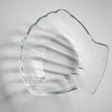 Seashell cup