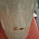 Stoneware bottle