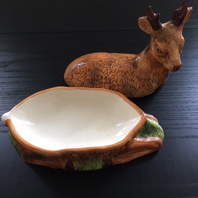 Empty pocket deer in dabbling