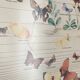 TABLEAU Display BUTTERFLY Italy