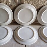 6 grandes assiettes à fleurs tons marron