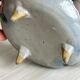 Three-legged glazed ceramic box