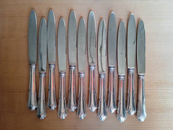 12 dixi knives in silver metal, filet model