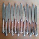 12 dixi knives in silver metal, filet model