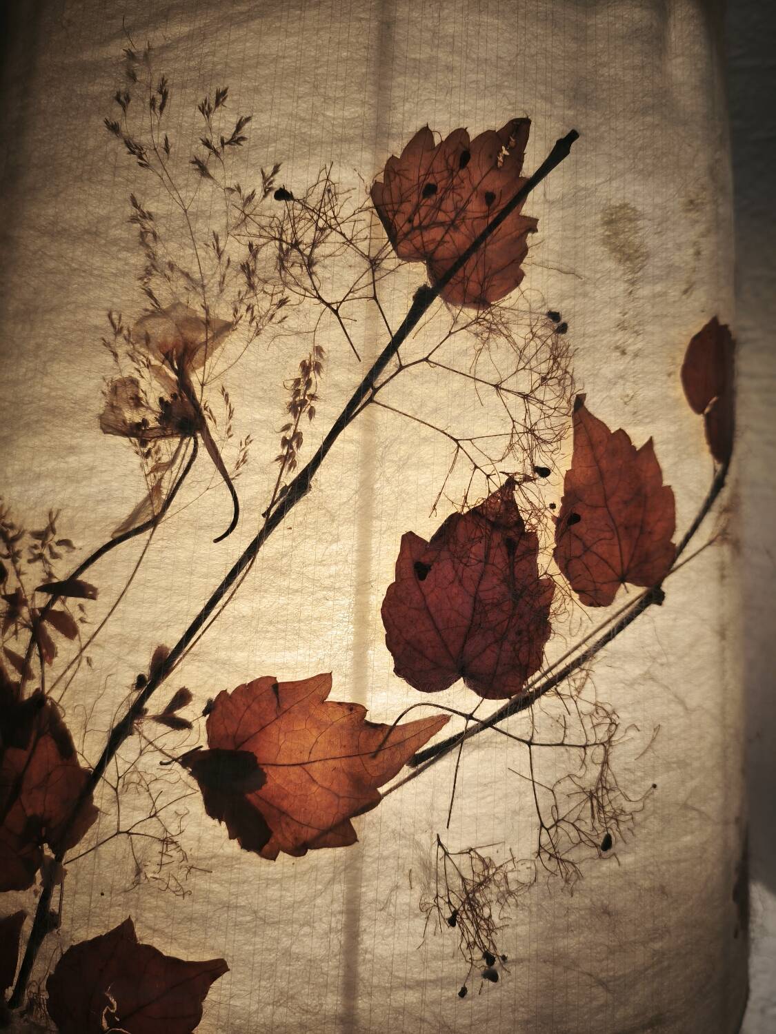 Herbarium lamp, turned wooden base, vintage bohemian