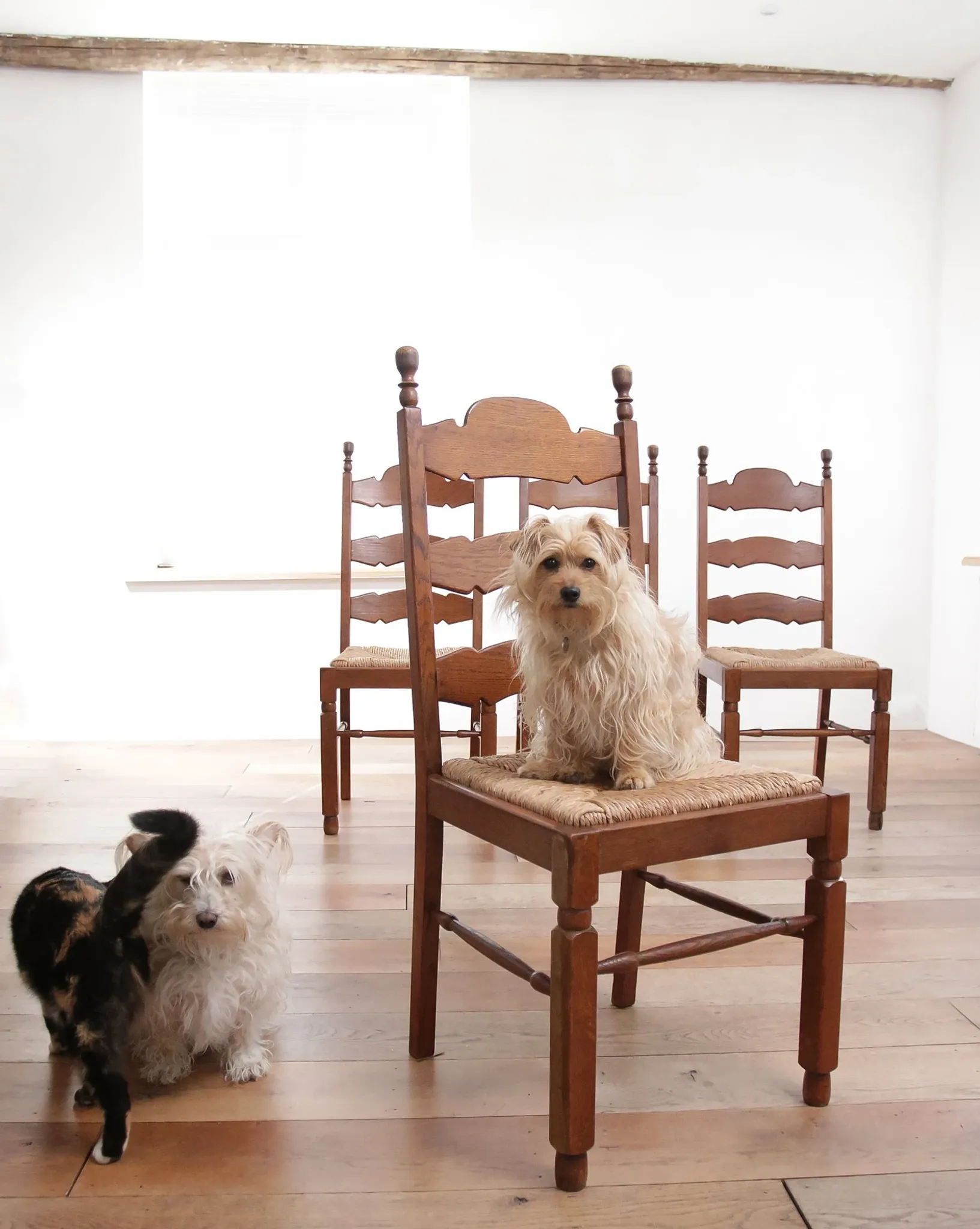 Ensemble de 4 chaises de salle à manger en chêne avec dossier échelle et sièges en paille.