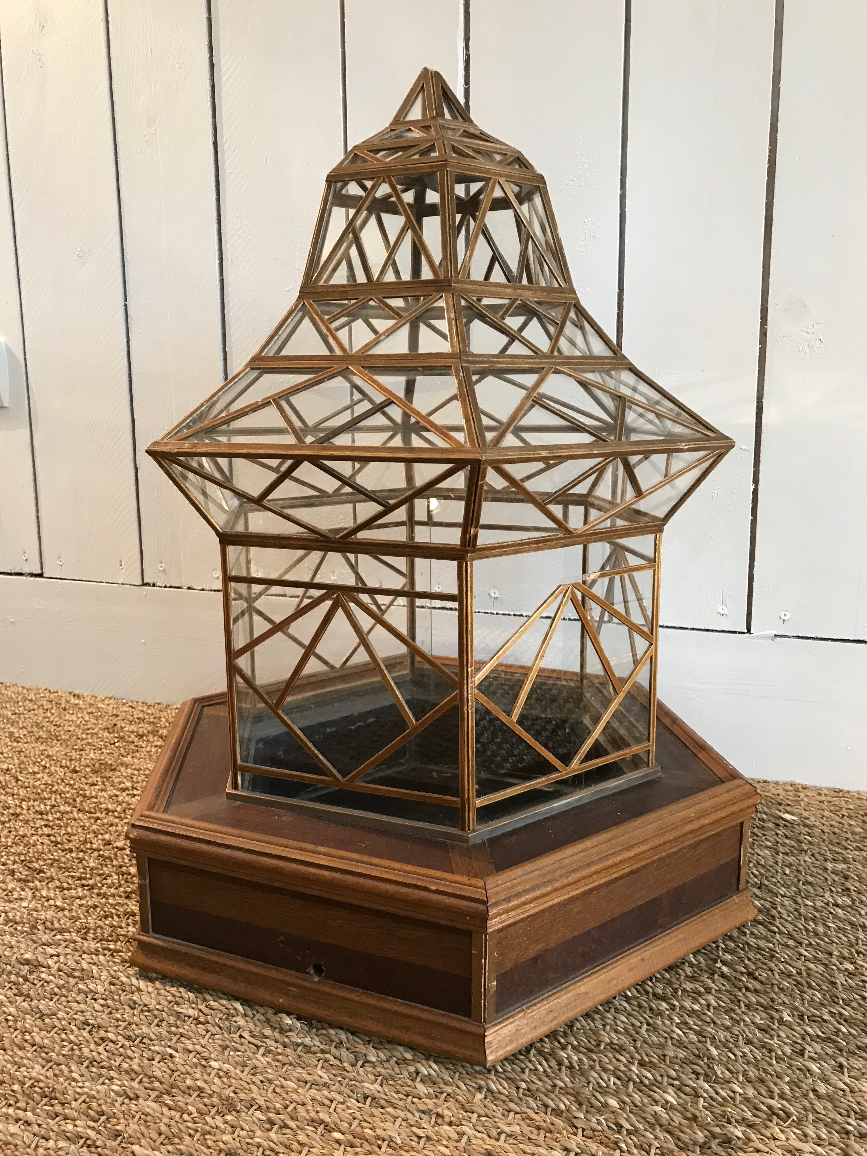 Cabinet of curiosity nineteenth century