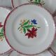Set of 5 dessert plates Digoin Sarreguemines years 30-40