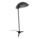 Lita floor lamp from the 1950s