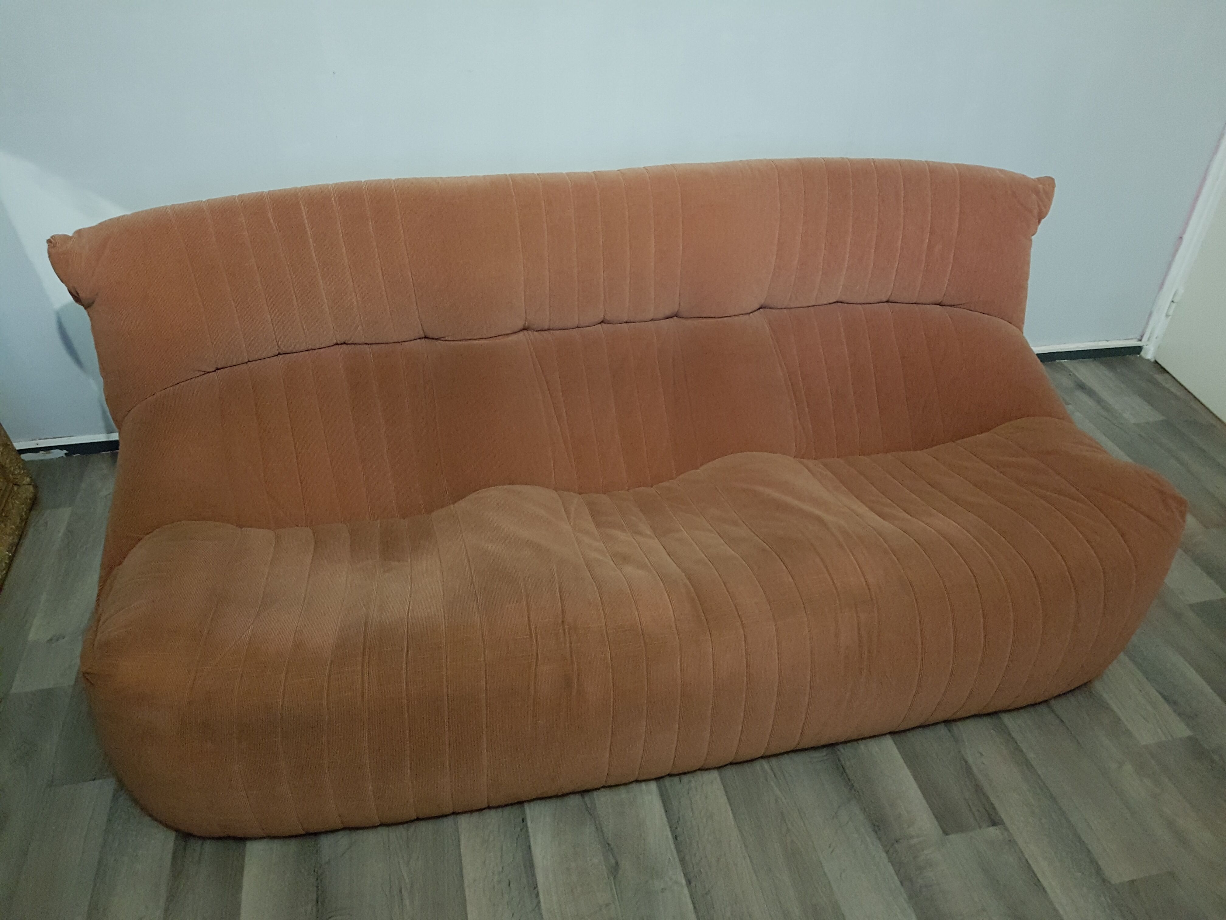 Aralia sofa by Michel Ducaroy