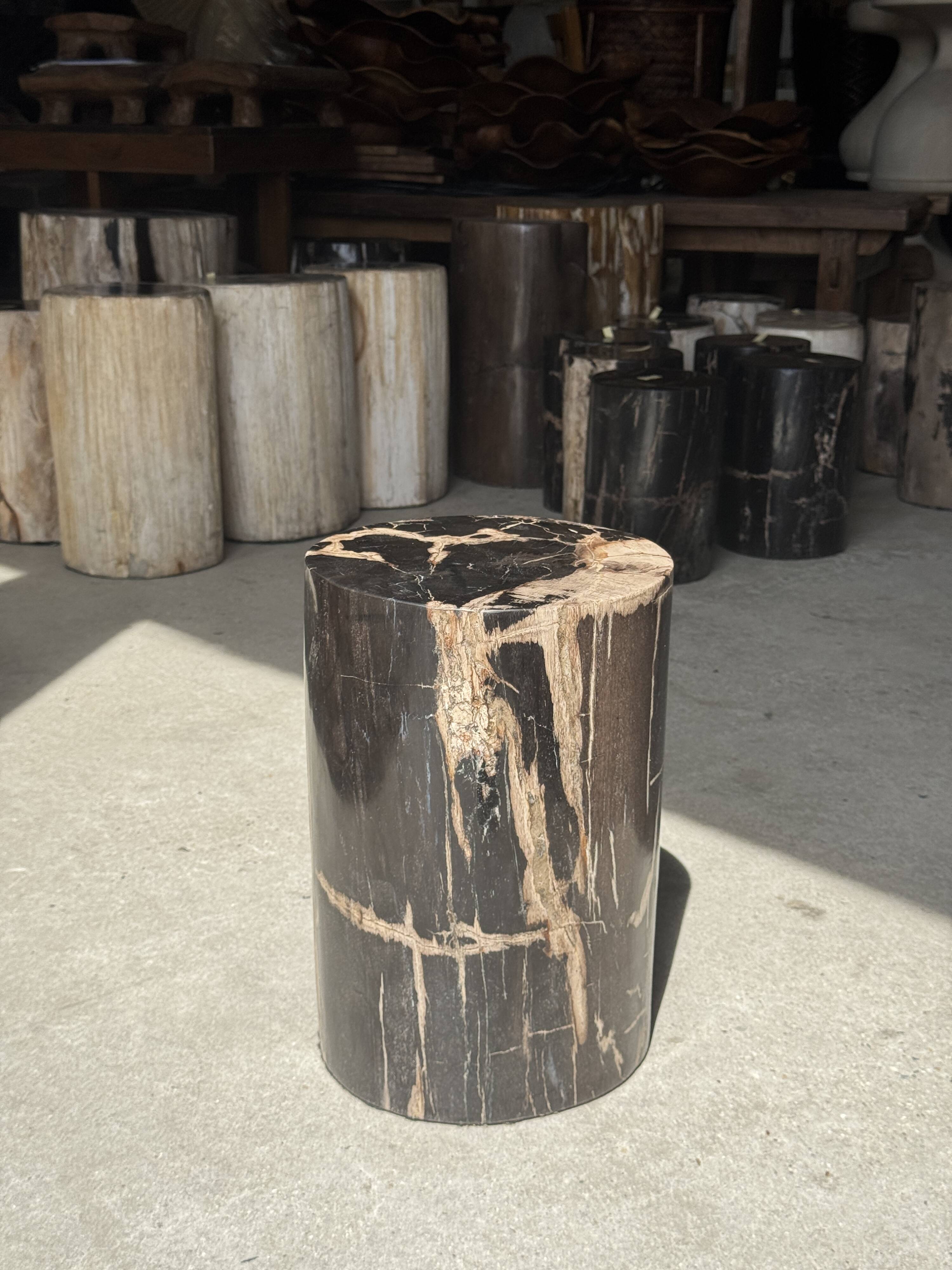 Black petrified wood side table with beige stripes and a semicircular shape.