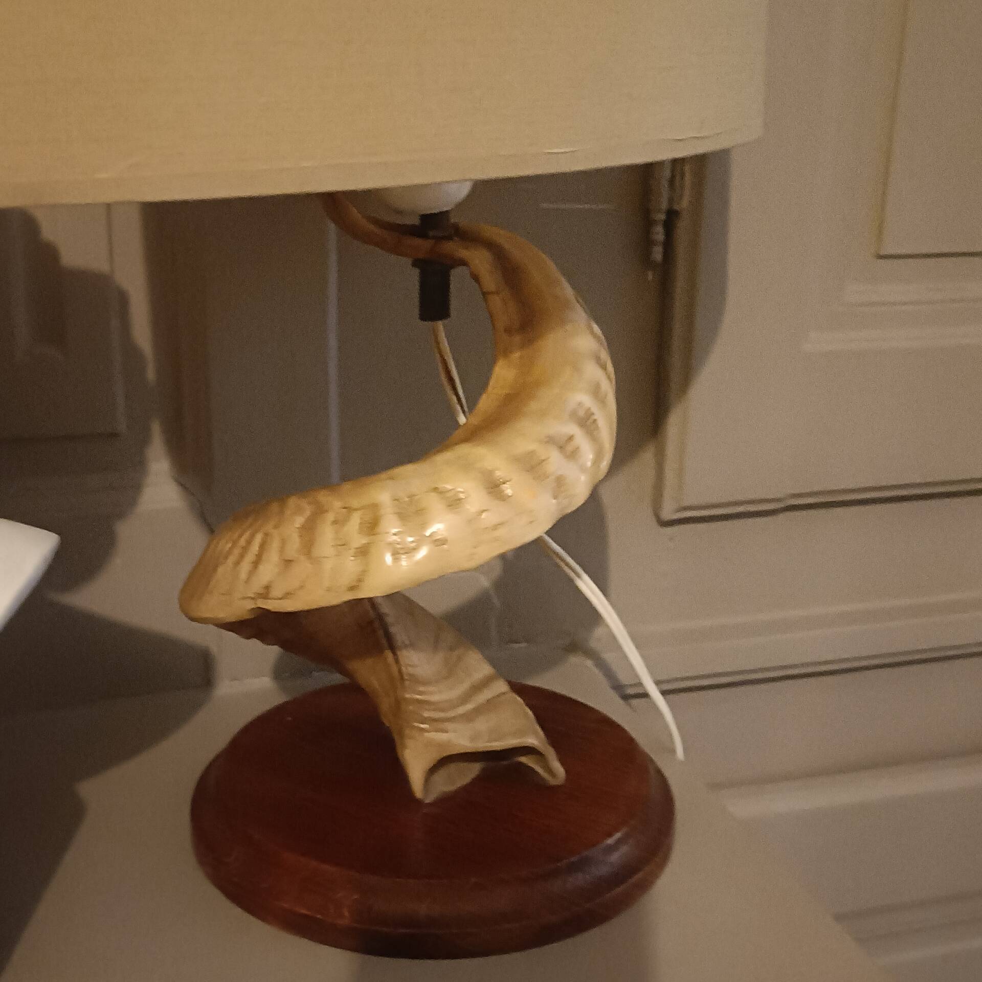 Vintage ram's horn living room lamp