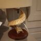 Vintage ram's horn living room lamp