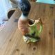 Pichet canard en barbotine
