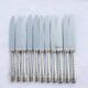 Set of 11 dessert or entremets knives Villeroy by Christofle