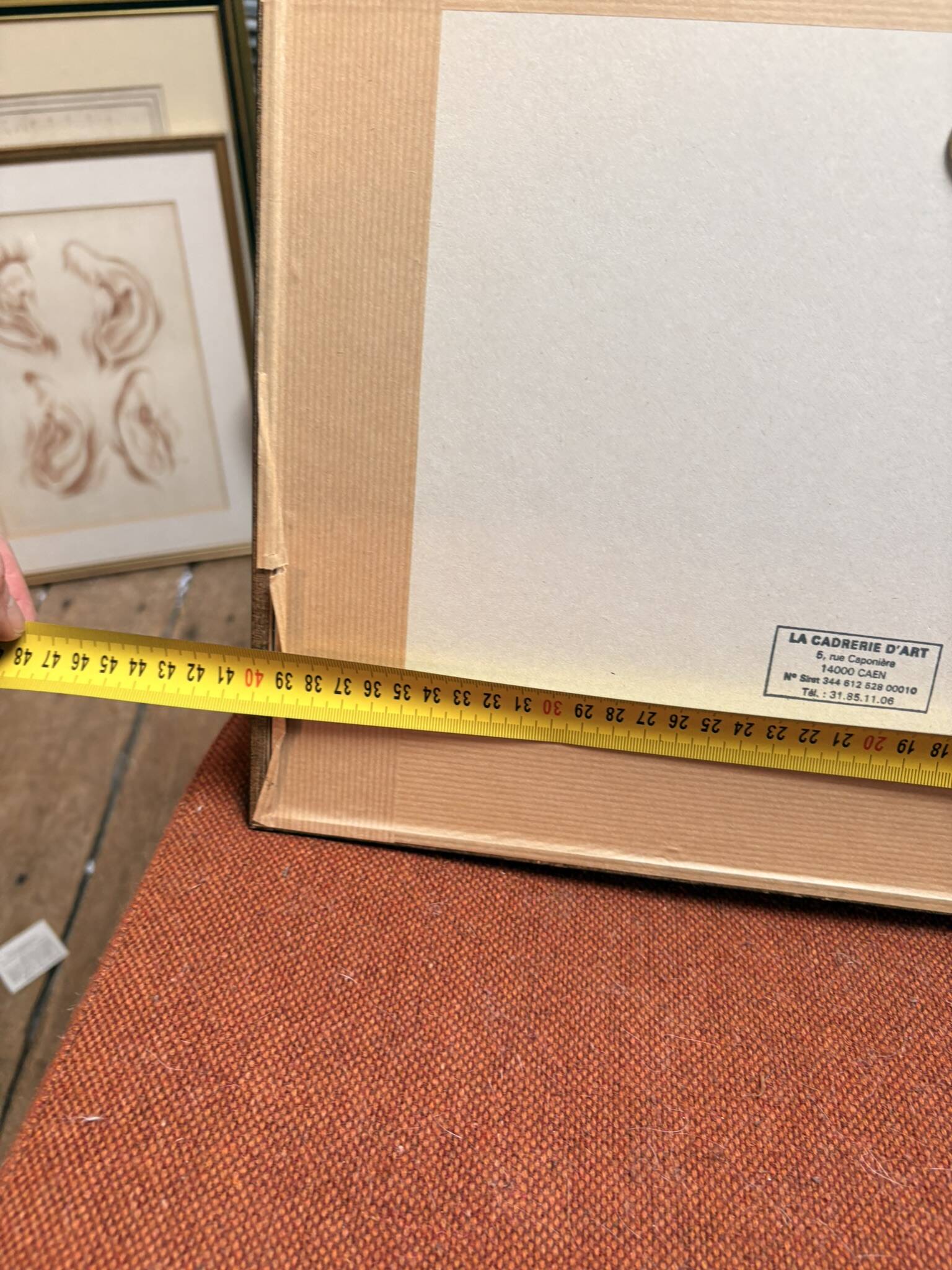 Old Print Engraving 19th Century Shadowed Notebook Nose - Bertrand Reverdin Coindet