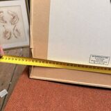 Old Print Engraving 19th Century Shadowed Notebook Nose - Bertrand Reverdin Coindet