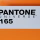 Wall magazine door design metal orange pantone wallstore 165 vitamin c