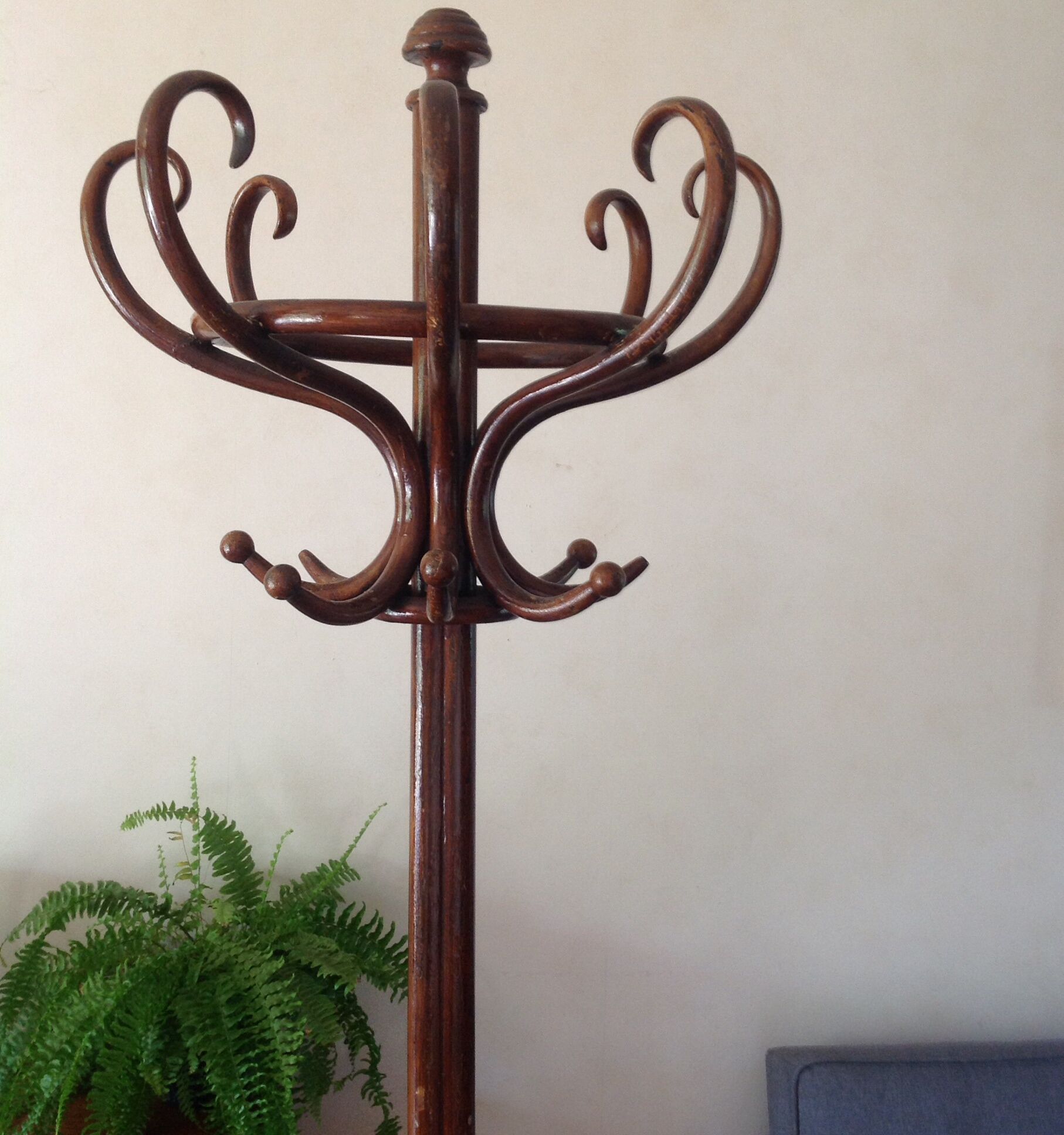 Porte-manteaux perroquet Thonet ancien