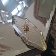 Venetian mirror