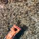 In the sea