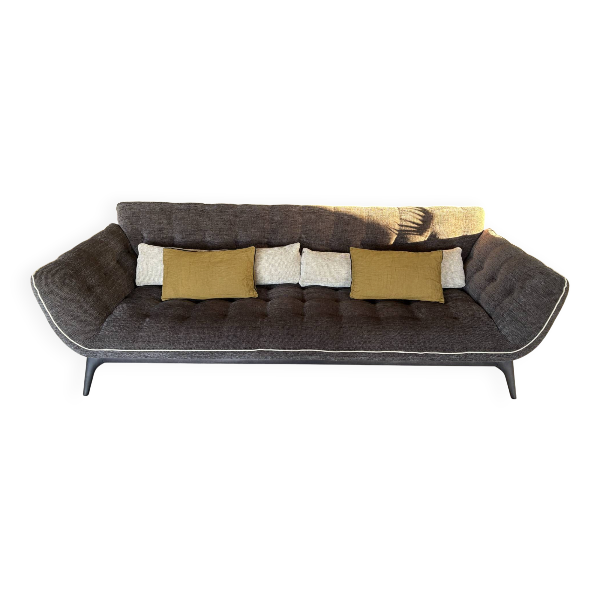 Roche-Bobois sofa