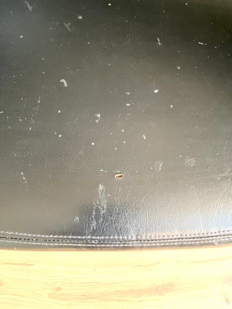 Black AP Originals Armchair, by Hein Salomonson and Theo Tempelman, 1960