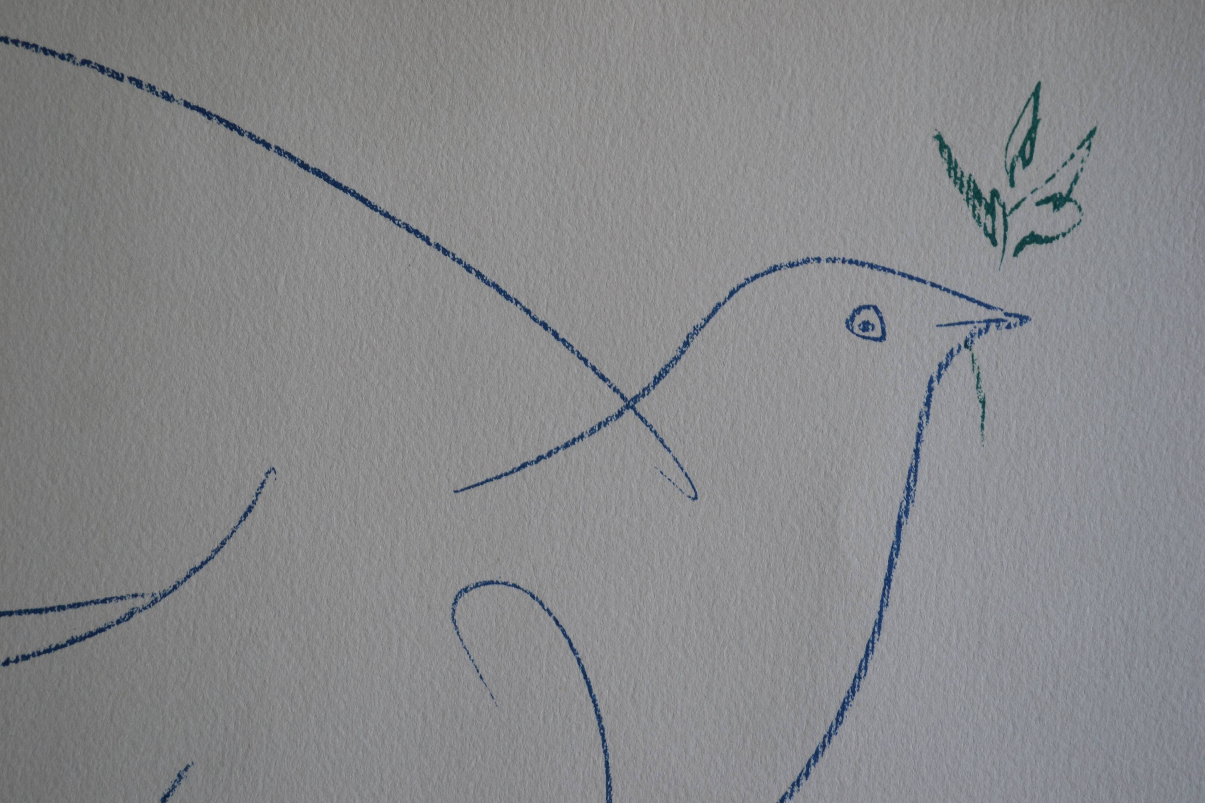 Picasso original lithograph 1959 The Blue Dove 38x28cm